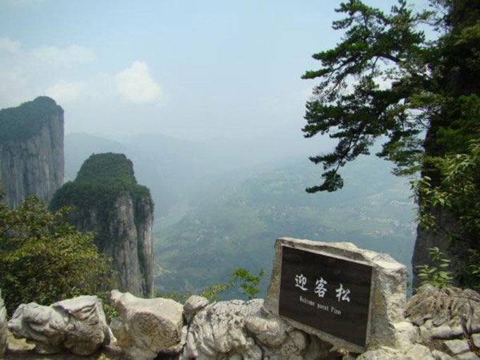 图片10.jpg