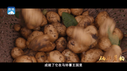 微信图片_20190703085441.gif